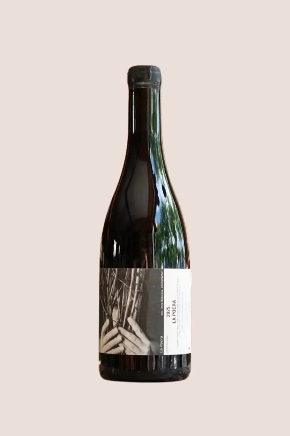 Ledy Vins La Pocra Pinot Noir