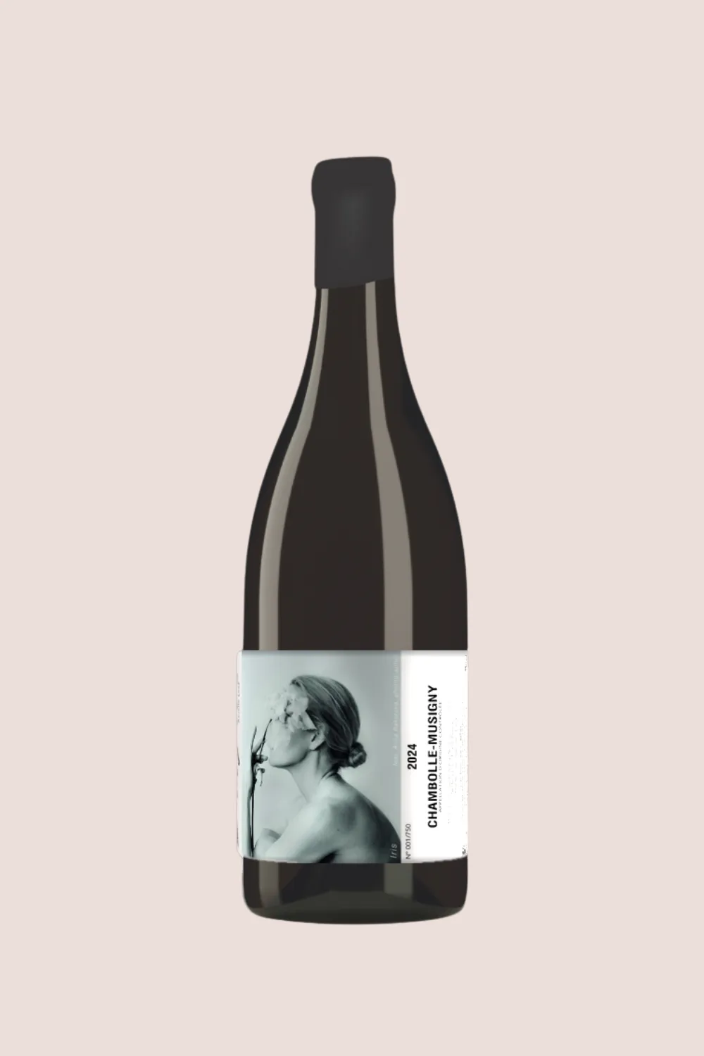 Ledy Vins Chambolle-Musigny